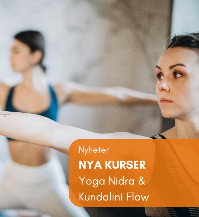 Yoga Nidra & Kundalini Flow Summer madness